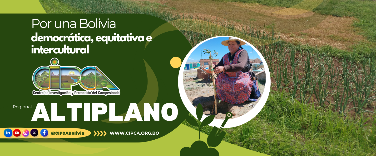 cipca altiplano 26