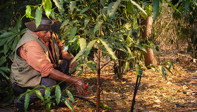 Impulsando la transición ecológica justa en territorios indígenas y campesinos de la Amazonía boliviana