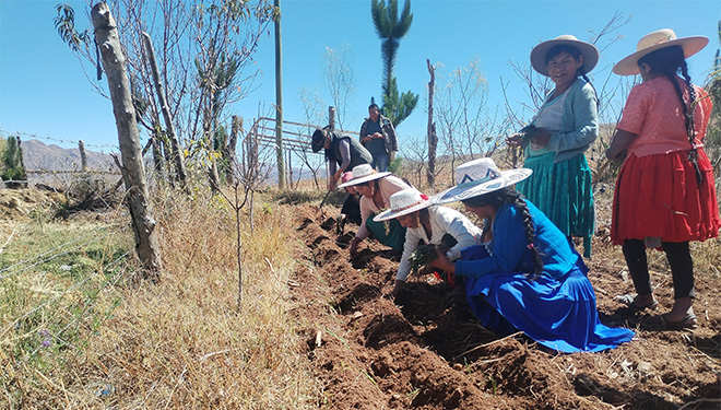 Desarrollo rural sostenible y equitativo, basado en la gobernanza ambiental en 2 municipios quechuas de Potosí y Cochabamba, en Bolivia. 