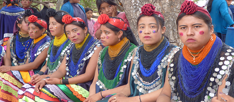 Kuimbae jare kuña reta iyambae ɨvɨ guasu pe (Hombres y Mujeres trabajando libremente su territorio) 