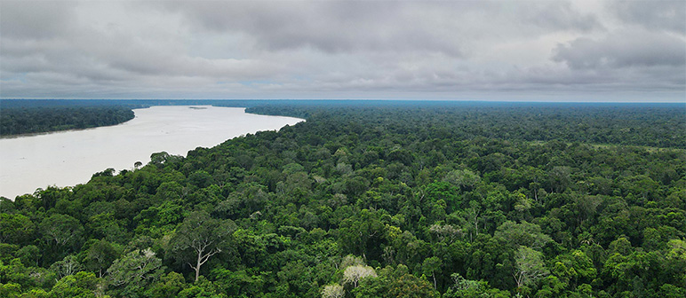 Amazonía Resiliente