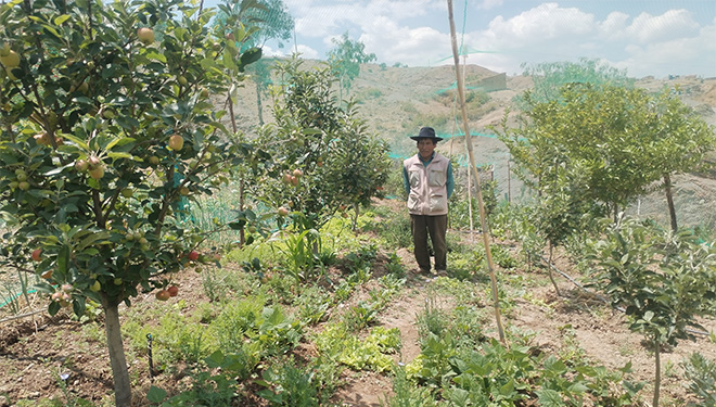 Promoviendo la participación de las organizaciones Indígenas Originario Campesinas para la soberanía alimentaria, la gobernanza ambiental y la igualdad de género en los Valles Interandinos de Bolivia (Fase 1).