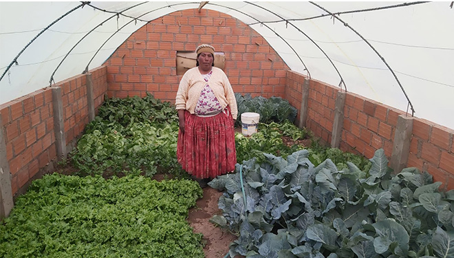 Fortalecimiento Integral de sistemas de vida de base campesina para el Desarrollo Rural Sostenible en San Pedro de Totora, Corque y Jach'a Karangas, Oruro-Bolivia.