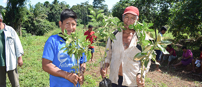 Modelos de gobernanza territorial sostenibles en la Amazonía boliviana.