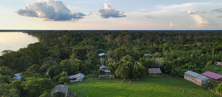 Salud Planetaria en el Norte de la Amazonía Boliviana