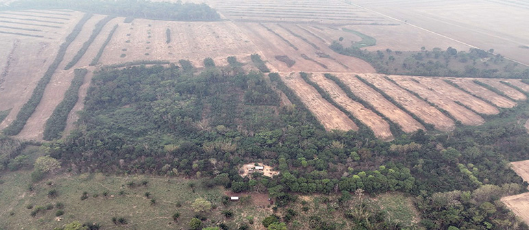 “Costos y beneficios ocultos de la agricultura en las zonas de expansión de la frontera agrícola de Santa Cruz y el Beni”.