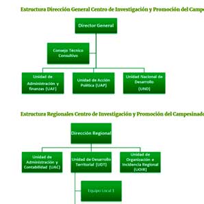 Estructura organizacional