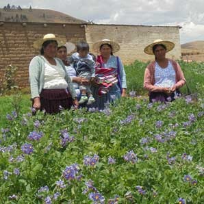 CIPCA Cochabamba