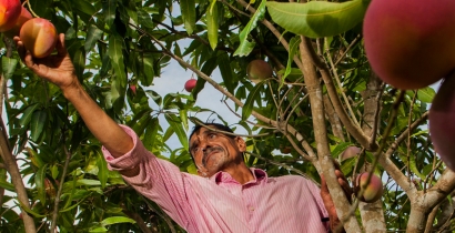 Desarrollo rural sostenible con enfoque territorial y agroecológico
