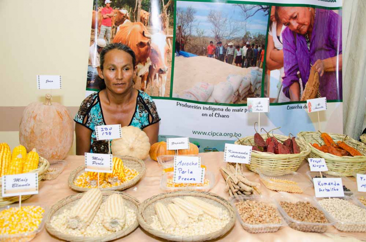 Productores expusieron semillas en feria productiva para revalorizar la agroecología y la agrobiodiversidad