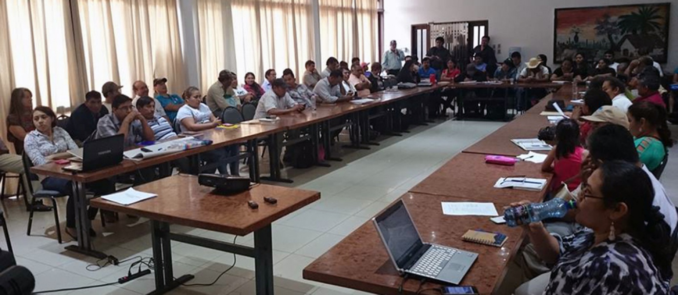 Líderes indígenas definen estrategias para fortalecer la organización indígena de Tierras Bajas