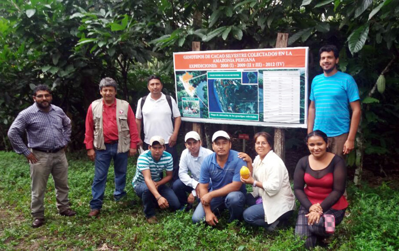CIPCA cualifica conocimientos, técnicas y habilidades en producción y pos cosecha de cacao