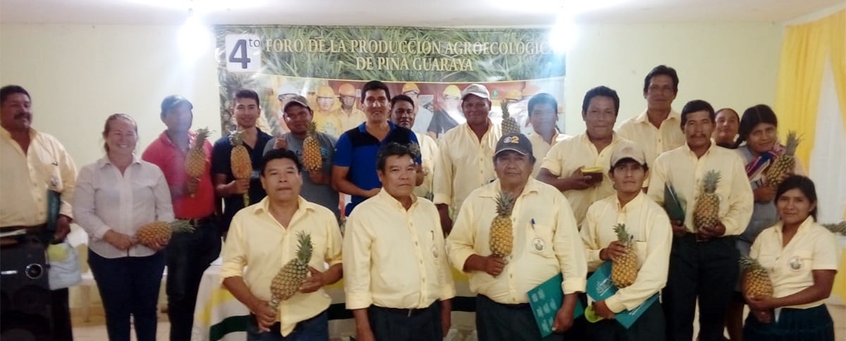 Productores proponen innovaciones tecnológicas y mejoras en la transformación y comercialización de la piña guaraya