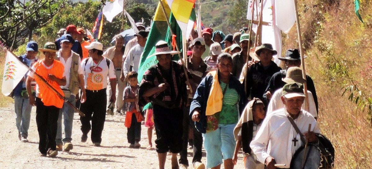 15 de mayo: Tribunal Internacional de Derechos de la Naturaleza dará a conocer sentencia sobre caso TIPNIS