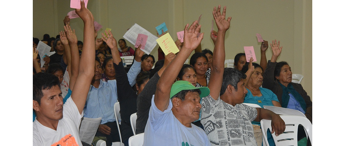 Estatuto de la Autonomía Indígena Guaraní “Kereimba Iyaambae” un año en espera de su aprobación constitucional 