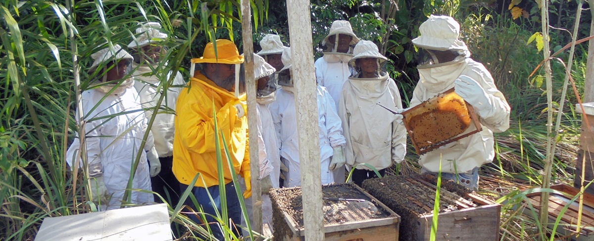 Asociaciones productivas de la Amazonía intercambiaron experiencias en producción agroecológica