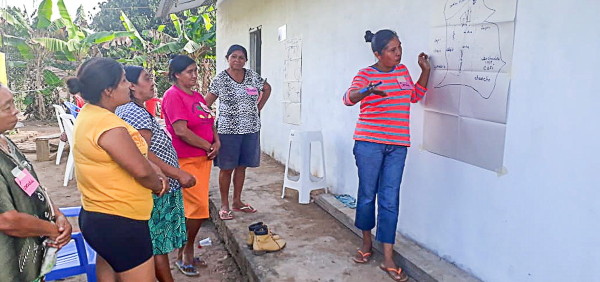 Mujeres guarayas analizan sobre acceso y aprovechamiento de RRNN rumbo a la gobernanza ambiental