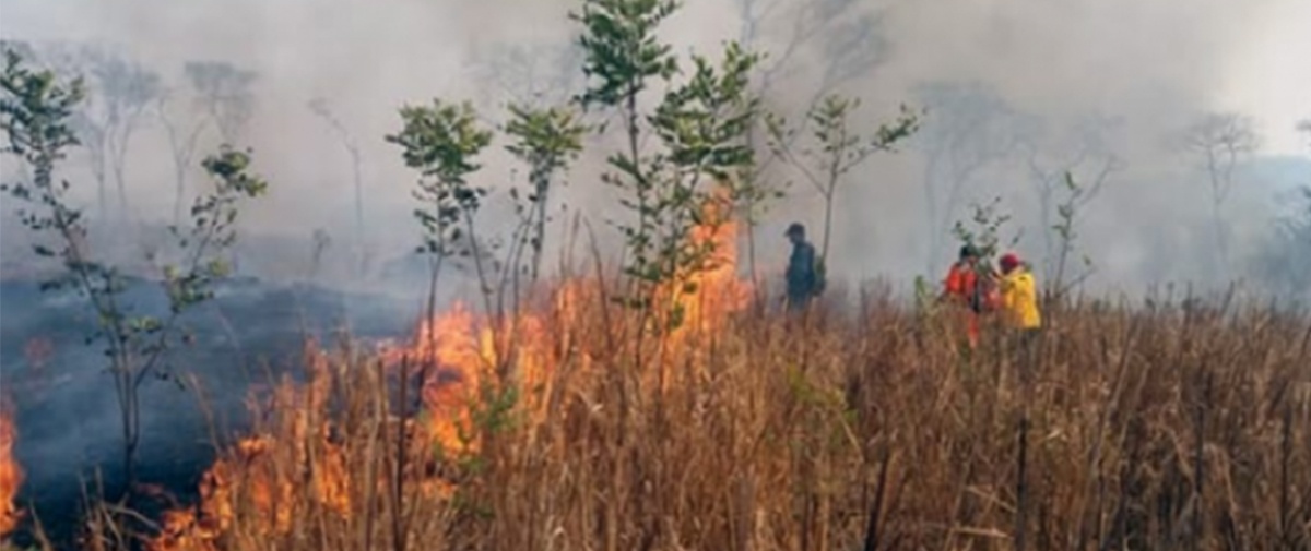 Chiquitanos de San Ignacio ya perdieron 80% de cultivos por incendios