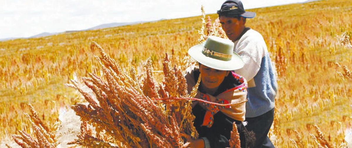 Agro familiar tiene 10 años para elevar contribución
