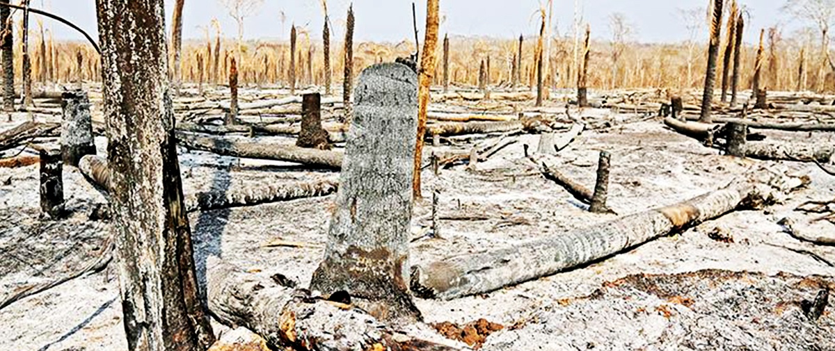 Chiquitanía: advierten confrontación, pobreza y sequía tras devastador incendio