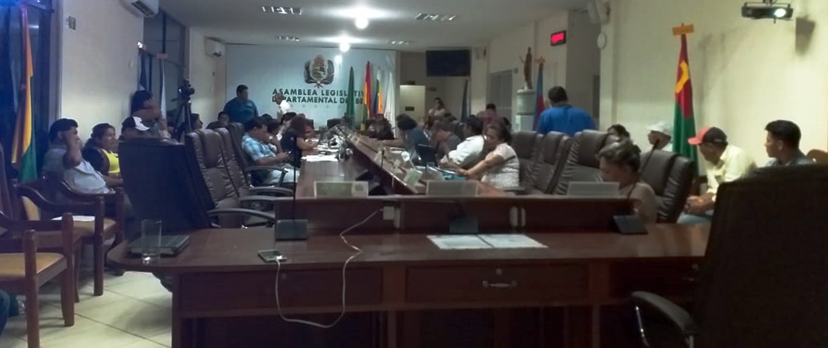 Alrededor de 12 millones de hectáreas deforestadas son promovidas por el Plan de Uso de Suelo del Beni para uso agrícola y pecuario 