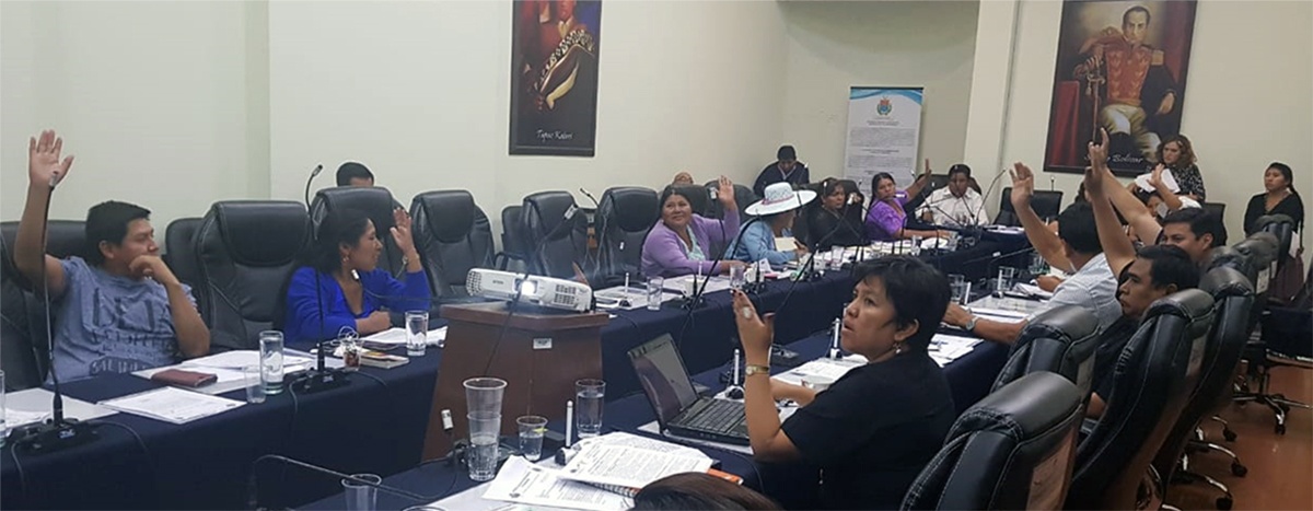 Jóvenes de Cochabamba ya cuentan con Ley departamental