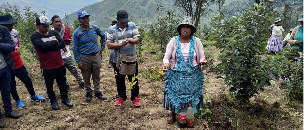 Plataforma de Suelos Altiplano y Valles interandinos plantea el fortalecimiento de la producción agroecológica
