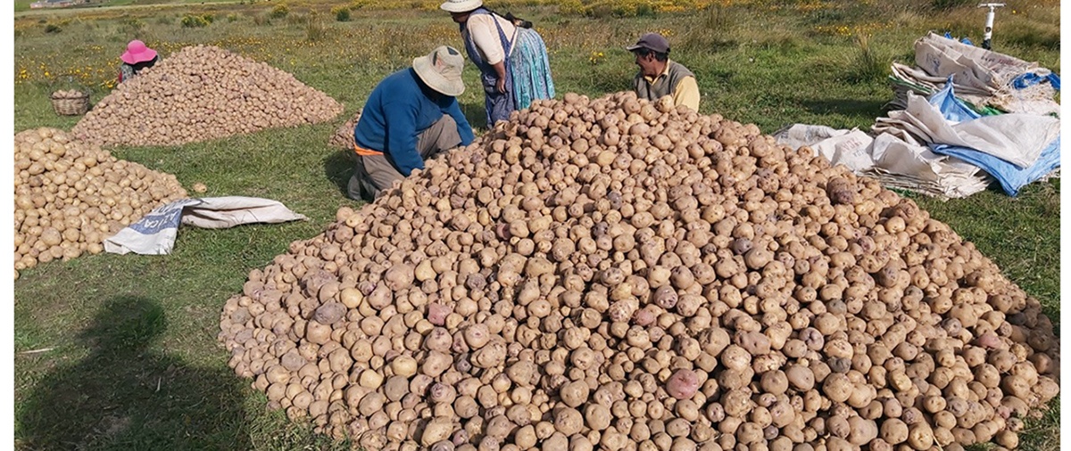 Comunidades del Altiplano boliviano se organizan para enfrentar la pandemia del COVID-19