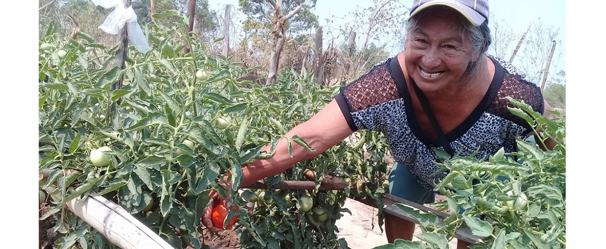 Desabastecimiento y pérdidas de productos son algunas dificultades que viven municipios de la Amazonía Sur