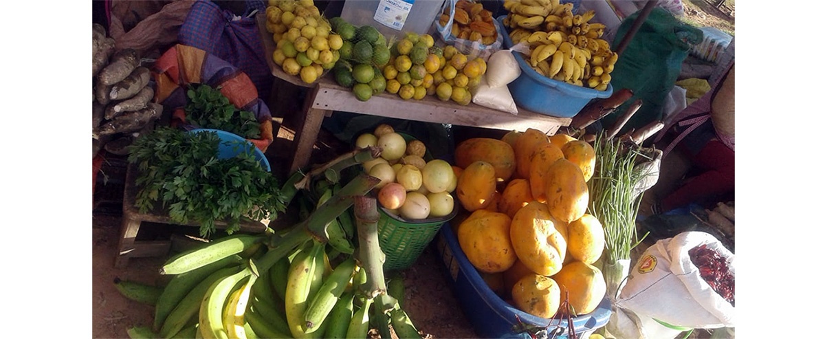 Pequeños productores de la provincia guarayos abastecen los mercados locales con la agricultura familiar