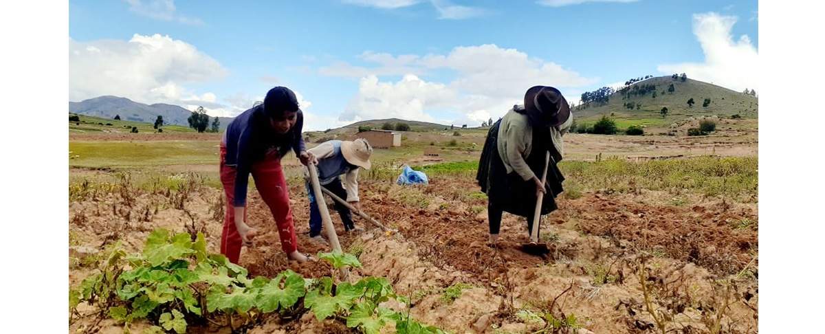 Residentes no rompen sus vínculos con sus comunidades de origen y la agricultura familiar
