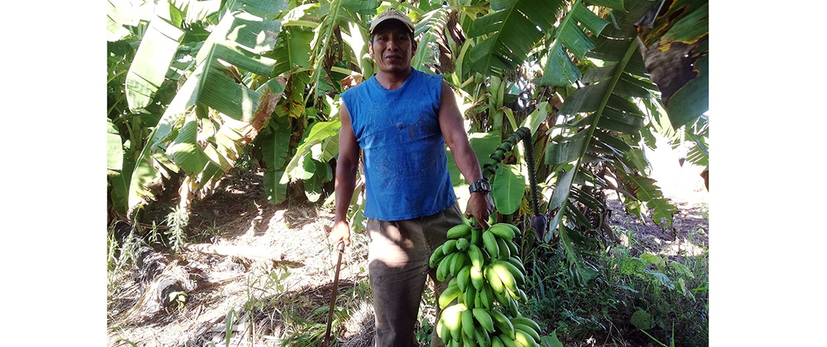 La crisis del coronavirus complica a muchos productores campesinos en la Chiquitanía