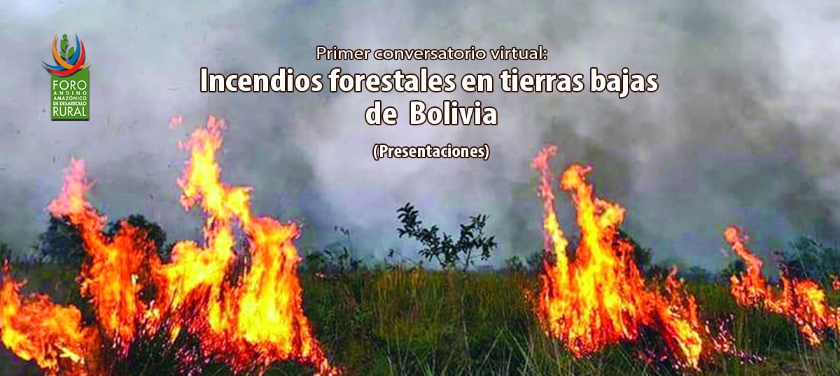 Expertos proponen gestión informativa, seguimiento a políticas públicas y un modelo de desarrollo sostenible ante incendios forestales