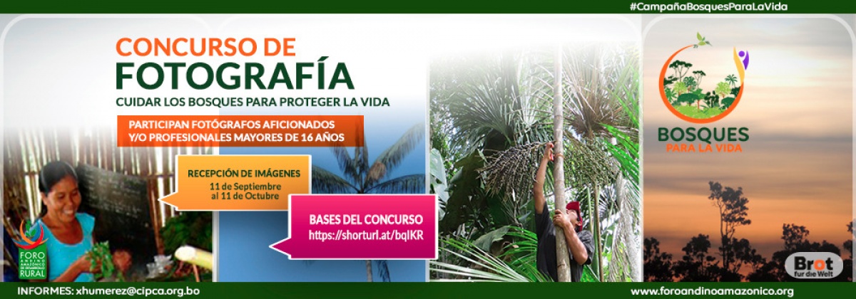 CONVOCATORIA ABIERTA A CONCURSO DE FOTOGRAFÍA “CUIDAR LOS BOSQUES PARA PROTEGER LA VIDA” #CampañaBosquesParalaVida