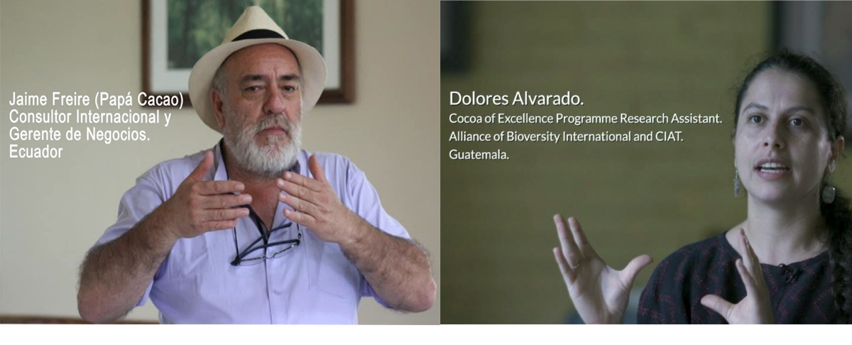 Jornada Científica del Cacao Nativo Amazónico remarcó la importancia de las buenas prácticas de cosecha y pos cosecha para garantizar la calidad del chocolate