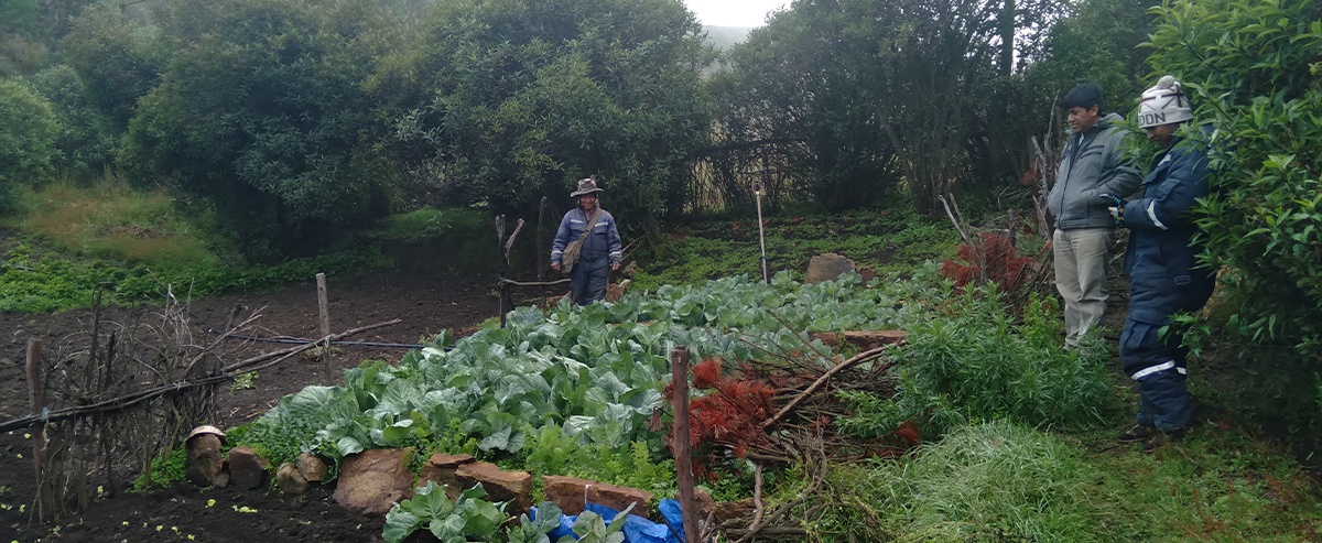 Agua y diversificación, medidas para combatir el COVID - 19
