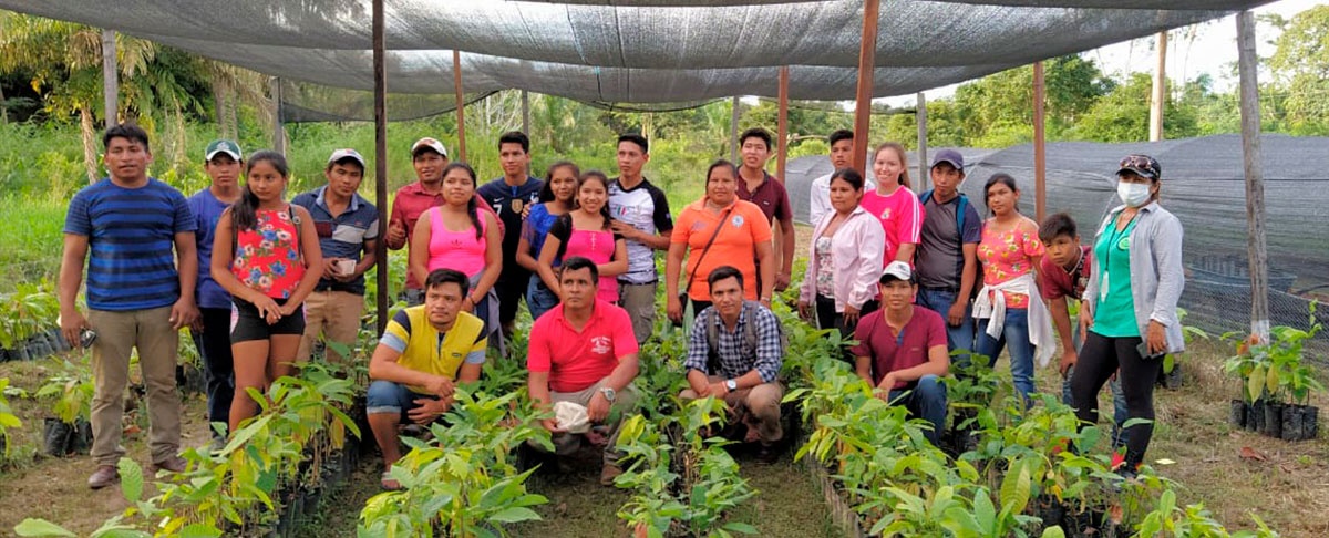 Productores de la Amazonia Sur se capacitaron en técnicas de producción de cacao nativo amazónico