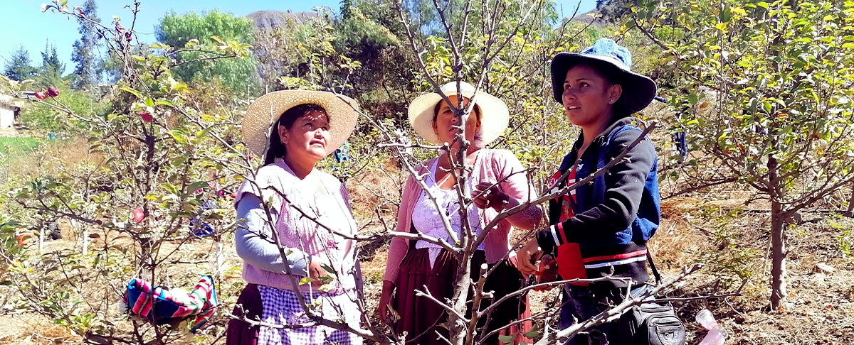 ¿Por qué festejar a las mujeres rurales?