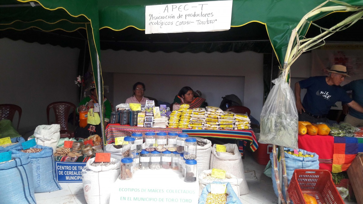 Asociaciones de Torotoro y Acasio exhiben sus emprendimientos productivos en la 8va feria agropecuaria del departamento de Potosí