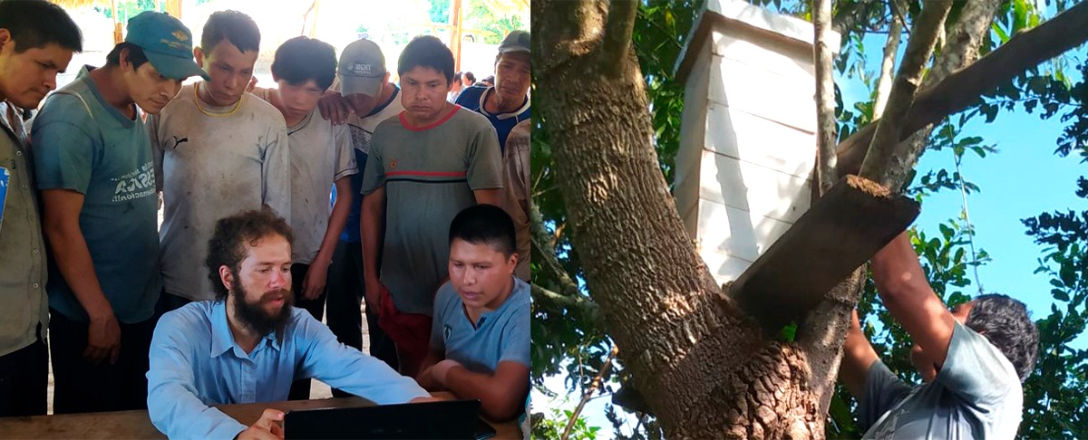 Jóvenes indígenas Tsimane en Beni avanzan hacia la producción sostenible de miel.