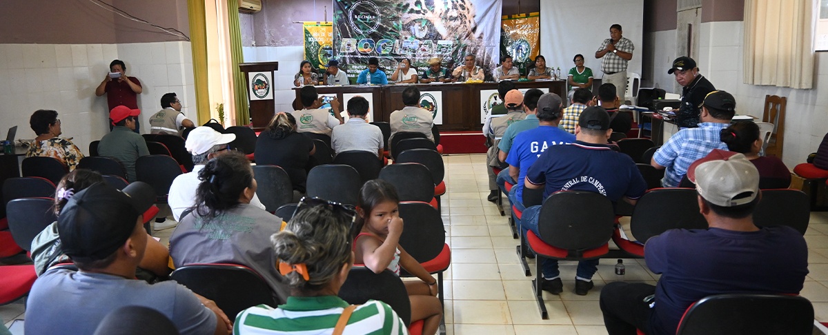 Rearticulación del BOCINAB posiciona debate de temas de agenda regional para la Amazonía.