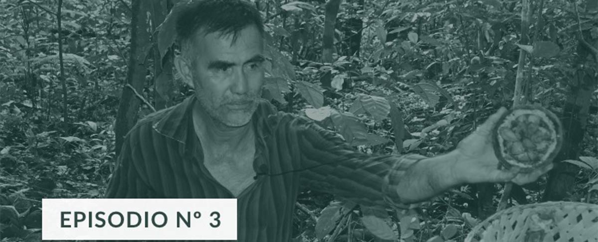 Descubre 'VEUS', el podcast de Medicusmundi Mediterrània apoyado por CIPCA que te llevará a conocer historias que sanan el mundo