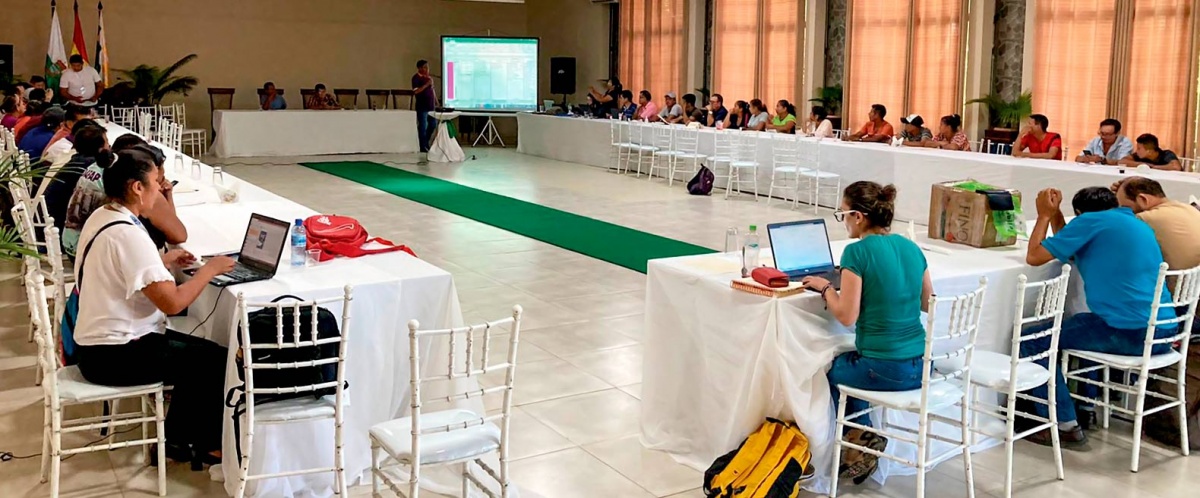Construyendo un futuro sostenible desde y para la Amazonía: Actores del Complejo Productivo de Frutos Amazónicos se unen para fortalecer su desarrollo integral