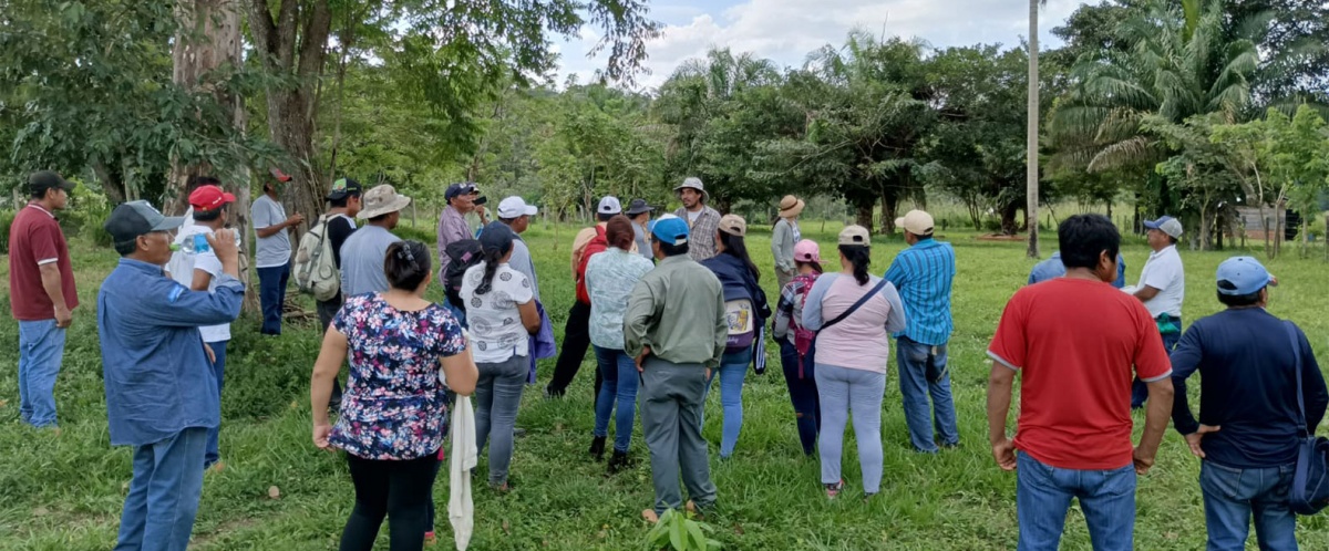 Formación de gestores agroecológicos para la promoción y consolidación de la propuesta económico productiva