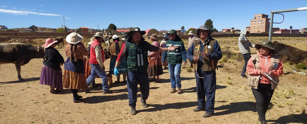 “Aprender haciendo”: prácticas en sanidad del ganado bovino