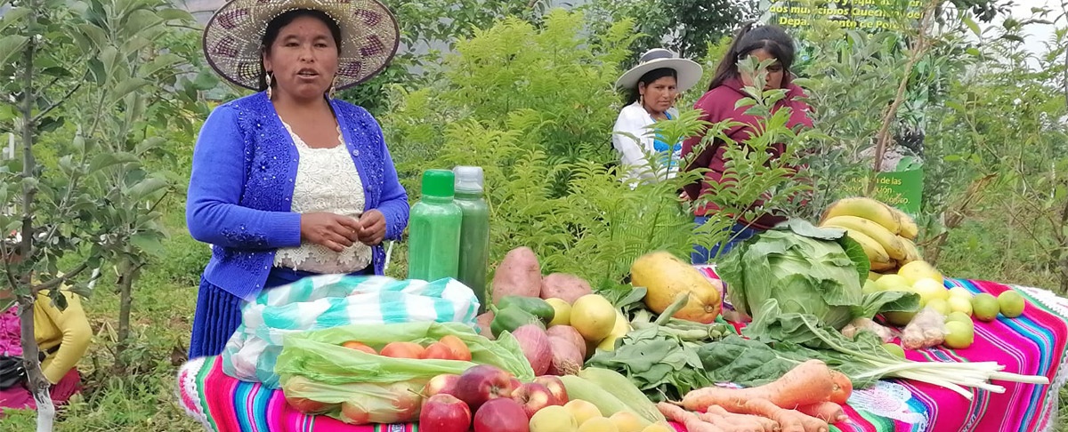 Procesos de empoderamiento y cualificación de experticias de mujeres rurales