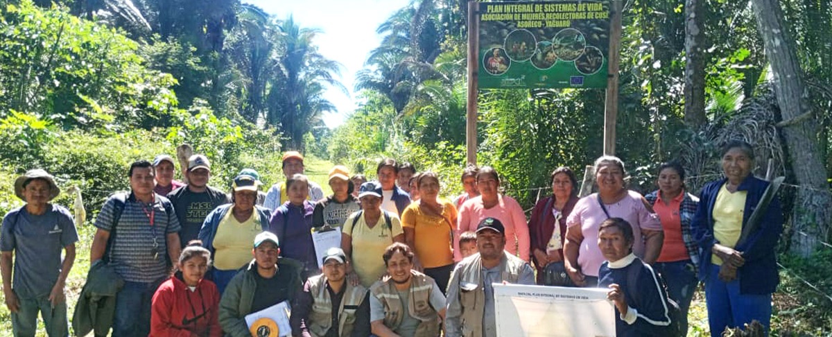Taller validación directriz técnica para el aprovechamiento de frutos de palmera de cusi