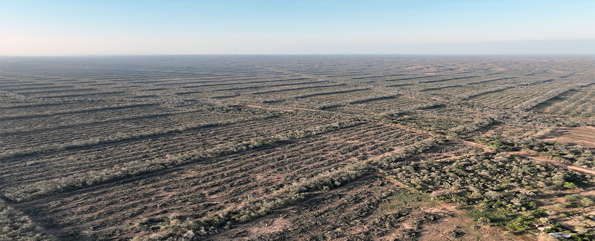 Más de 5000 hectáreas afectadas por desmonte de área de recarga hídrica en el chaco Chuquisaqueño
