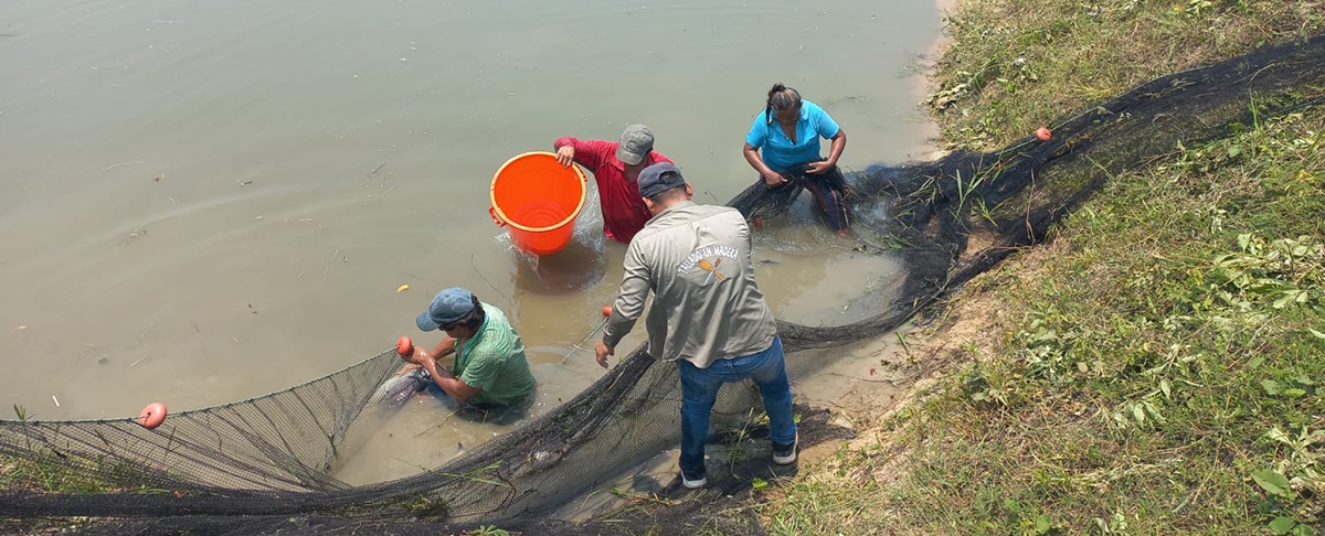 Se impulsa iniciativa hacia la Transición Ecológica en la Amazonia boliviana