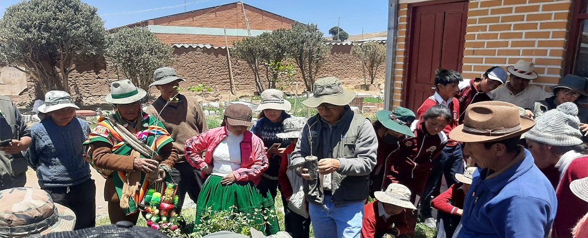 Inicia campaña de forestación 2023 en el municipio San Pedro de Totora con la plantación del primer arbolito en la comunidad Sora Sora